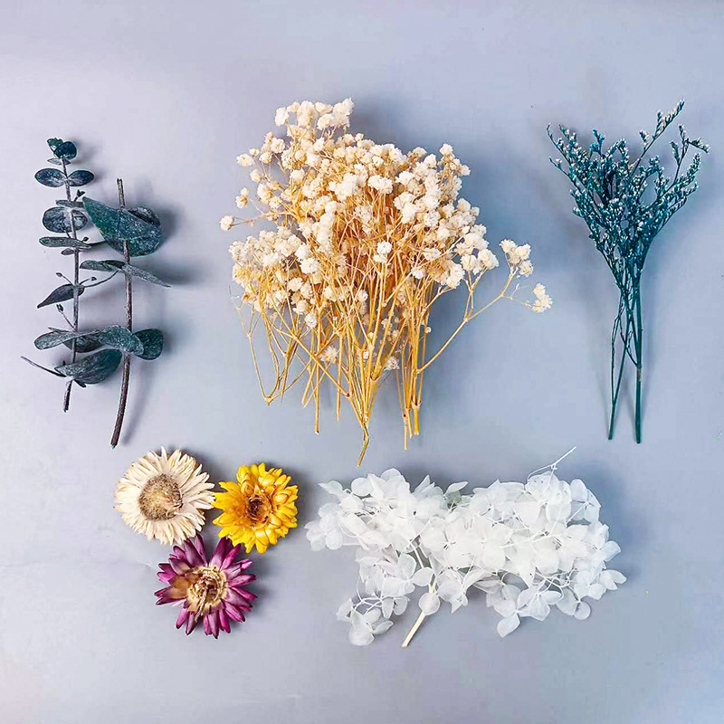 1pack Multifarious Dried Flowe - đánh giá và giá Embellish Craft